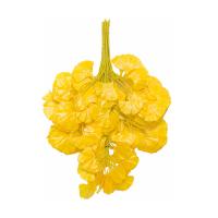 uploads/erp/collection/images/Home Garden/CongDing/XU0611399/img_b/XU0611399_img_b_5